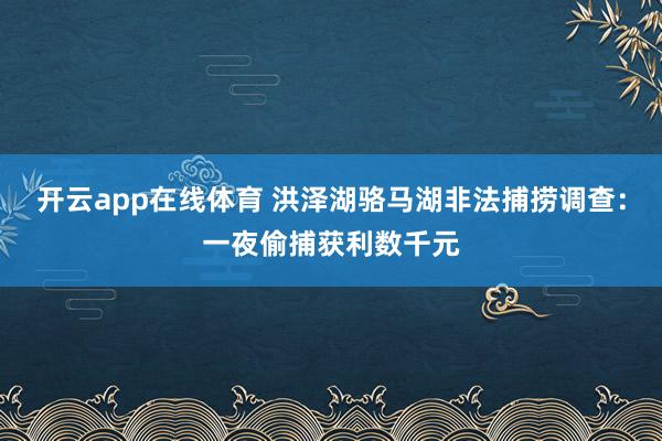 开云app在线体育 洪泽湖骆马湖非法捕捞调查：一夜偷捕获利数千元