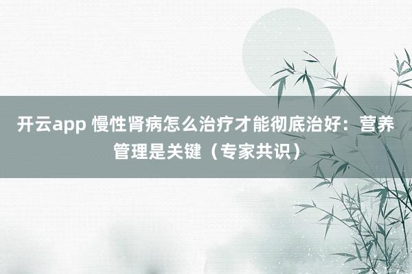 开云app 慢性肾病怎么治疗才能彻底治好：营养管理是关键（专家共识）