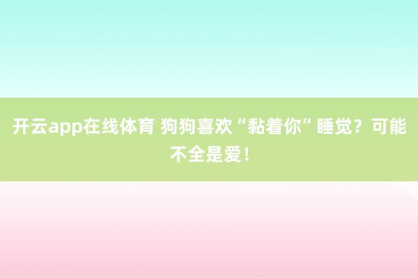 开云app在线体育 狗狗喜欢“黏着你”睡觉？可能不全是爱！