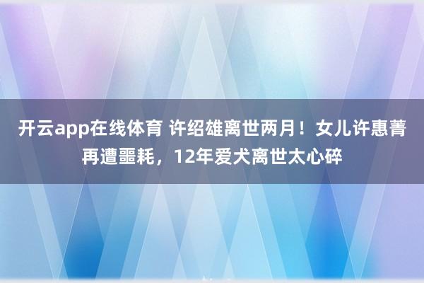 开云app在线体育 许绍雄离世两月！女儿许惠菁再遭噩耗，12年爱犬离世太心碎
