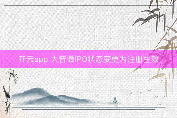 开云app 大普微IPO状态变更为注册生效