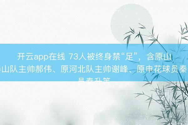 开云app在线 73人被终身禁“足”，含原山东泰山队主帅郝伟、原河北队主帅谢峰、原申花球员秦升等