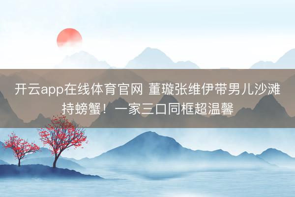 开云app在线体育官网 董璇张维伊带男儿沙滩持螃蟹！一家三口同框超温馨