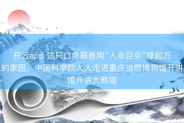开云app 这只口角萌兽用“人命巨伞”撑起万千生灵的家园,中国科学院人人走进重庆当然博物馆开讲大熊猫