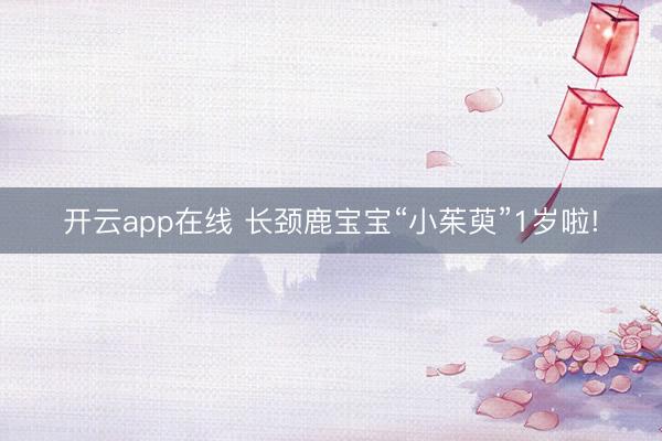 开云app在线 长颈鹿宝宝“小茱萸”1岁啦!
