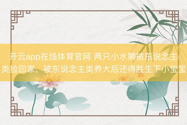 开云app在线体育官网 两只小水獭被东说念主类捡回家,被东说念主类养大后还得胜生下小宝宝