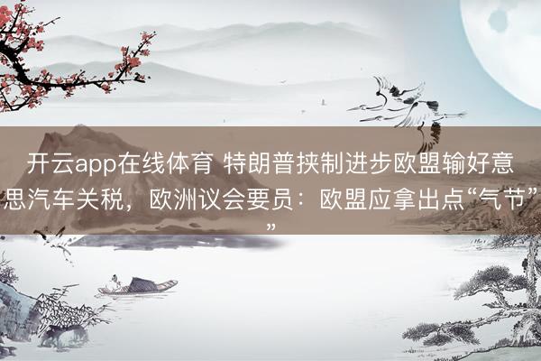 开云app在线体育 特朗普挟制进步欧盟输好意思汽车关税，欧洲议会要员：欧盟应拿出点“气节”