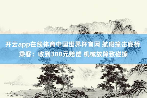 开云app在线体育中国世界杯官网 航班撞击廊桥 乘客：收到300元赔偿 机械故障致碰擦