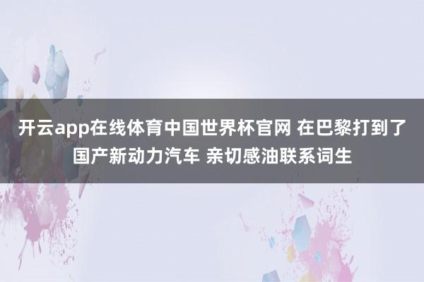 开云app在线体育中国世界杯官网 在巴黎打到了国产新动力汽车 亲切感油联系词生
