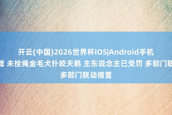 开云(中国)2026世界杯IOS|Android手机app下载 未拴绳金毛犬扑咬天鹅 主东说念主已受罚 多部门联动措置