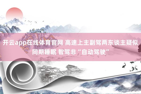 开云app在线体育官网 高速上主副驾两东谈主疑似同期睡眠 智驾非“自动驾驶”