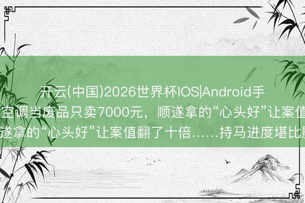 开云(中国)2026世界杯IOS|Android手机app下载 两男人偷14台空调当废品只卖7000元,顺遂拿的“心头好”让案值翻了十倍……持马进度堪比影视剧!