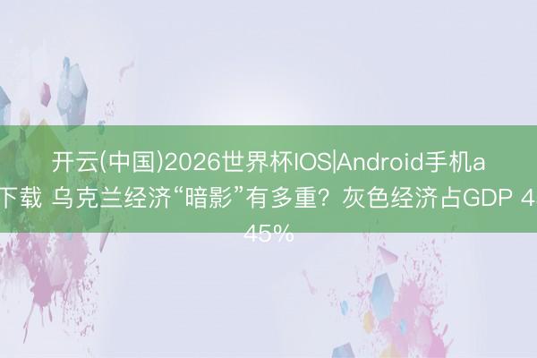 开云(中国)2026世界杯IOS|Android手机app下载 乌克兰经济“暗影”有多重？灰色经济占GDP 45%