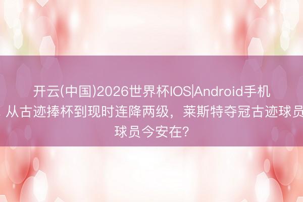 开云(中国)2026世界杯IOS|Android手机app下载 从古迹捧杯到现时连降两级,莱斯特夺冠古迹球员今安在?