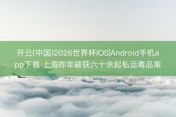 开云(中国)2026世界杯IOS|Android手机app下载 上海昨年破获六十余起私运毒品案