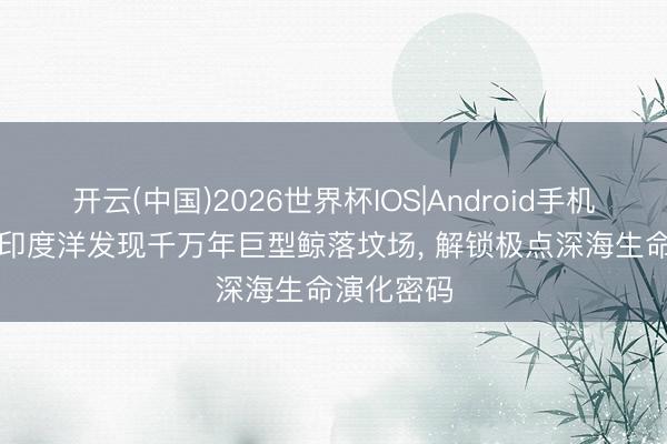 开云(中国)2026世界杯IOS|Android手机app下载 印度洋发现千万年巨型鲸落坟场， 解锁极点深海生命演化密码