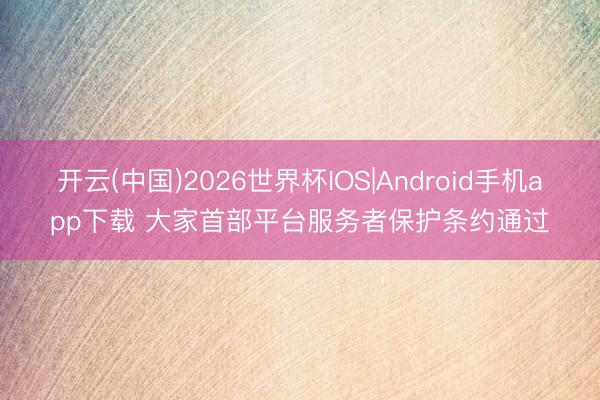 开云(中国)2026世界杯IOS|Android手机app下载 大家首部平台服务者保护条约通过
