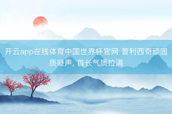 开云app在线体育中国世界杯官网 普利西奇顽固质疑声， 首长气质拉满